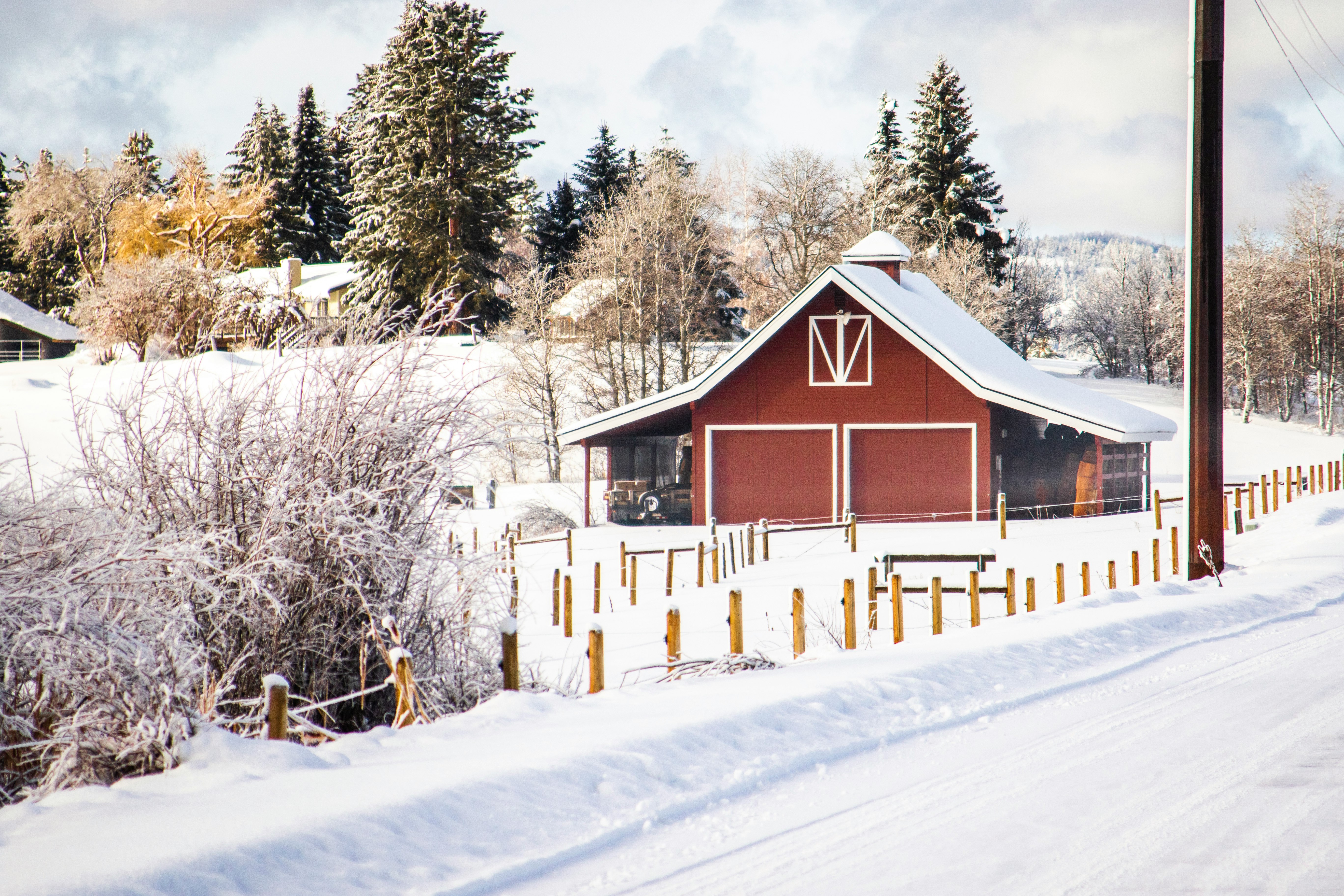 red and white wooden house near trees during winter